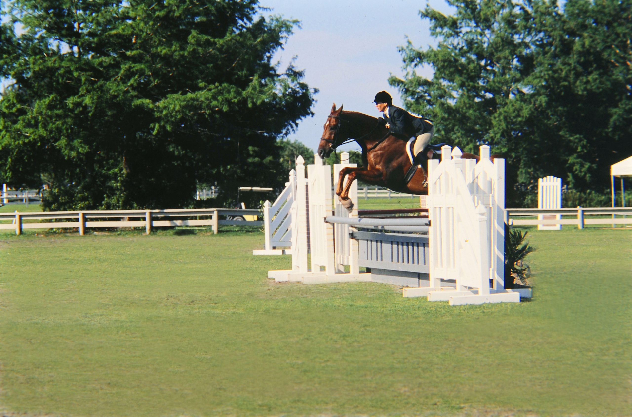 Allan Carlisle jumper pic 061914