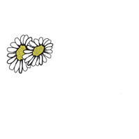 Nelson-logo-white-square 2x2 for CB desk profile 102022